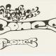 div. bones